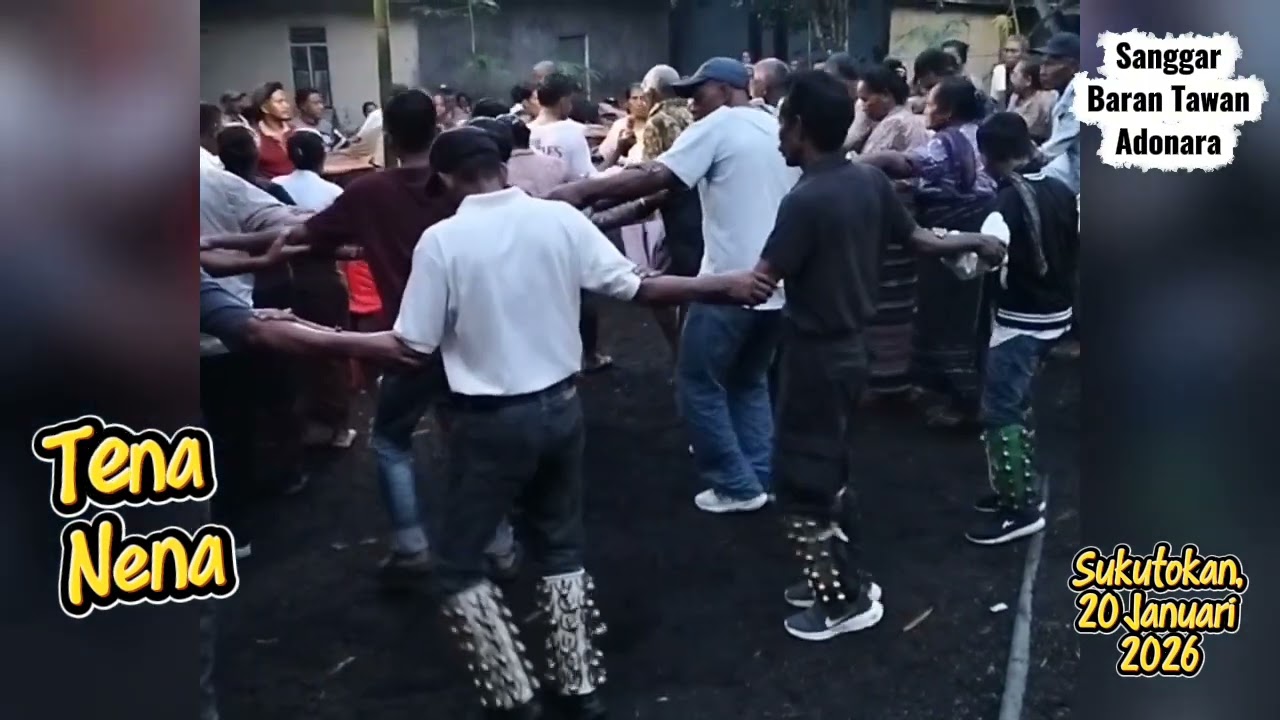Tena Nena // Sole Oha // Sanggar Baran Tawan Adonara // Sukutokan 20 Januari 2026