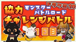 バトロやるぞ～！🐱✨【ドラクエ10】