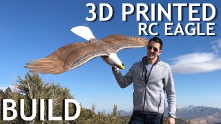 Epic DIY 3D Printed Planeprint Eagle Build