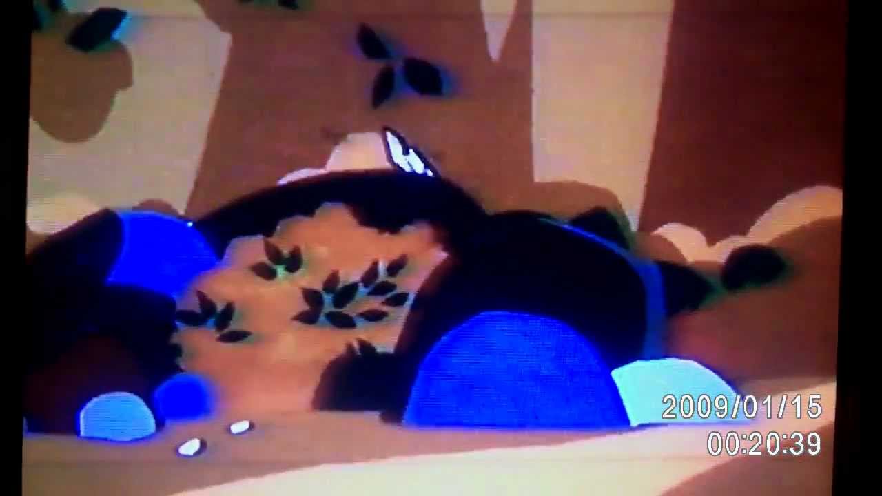 Boomerang Promo YouTube