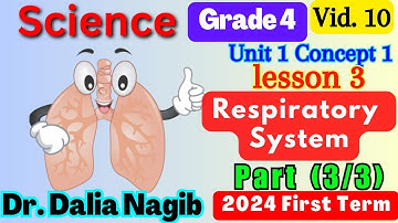 ساينس رابعه ابتدائي المنهج الجديد -  Science  Respiratory  System Grade 4 Concept 1 Lesson 3 Part 3