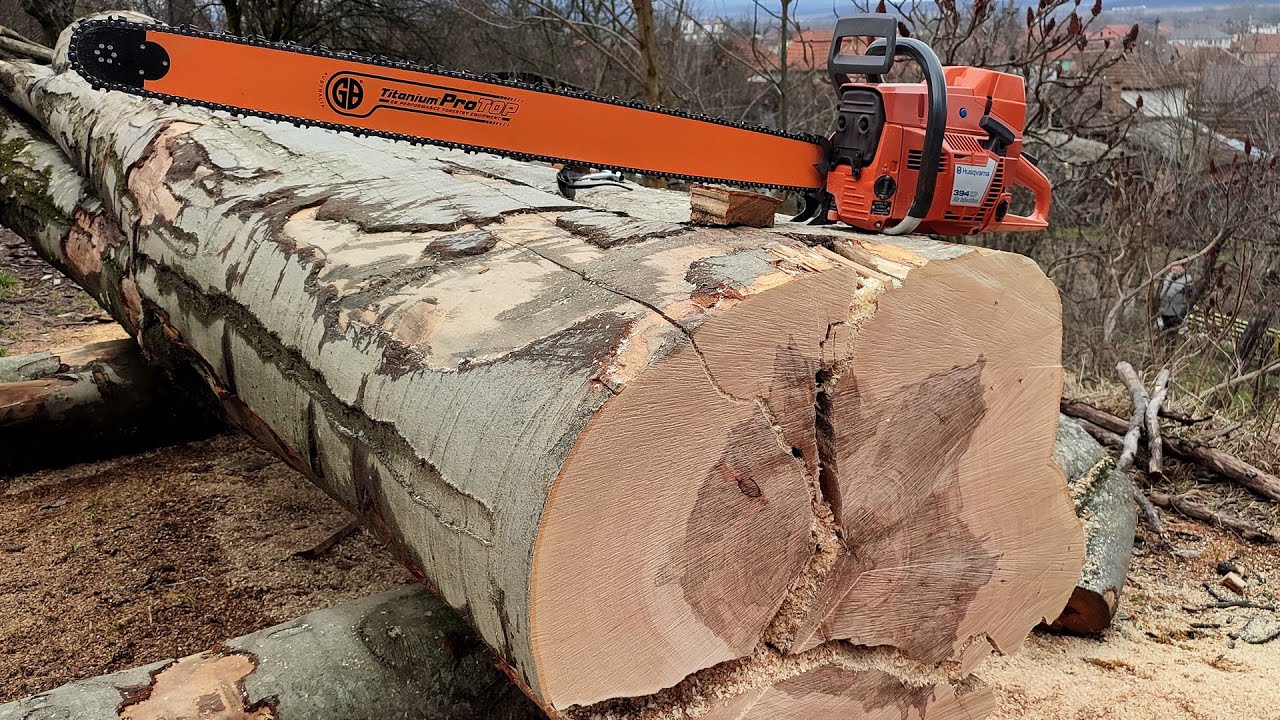 Husqvarna 394xp - 42" GB bar, big beech !!! - YouTube