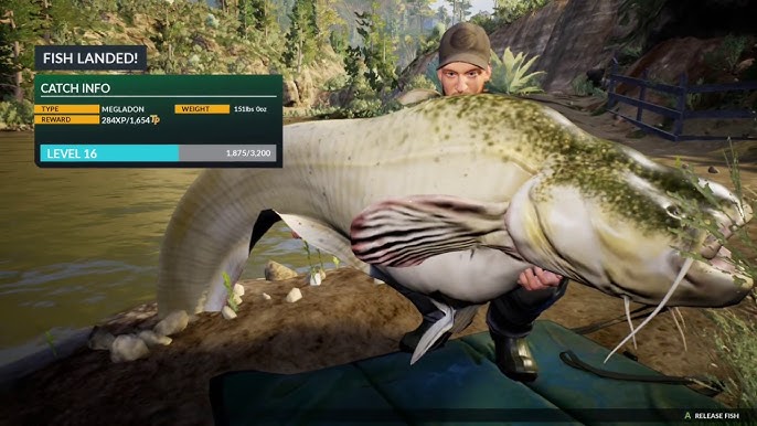 DOVETAIL GAMES EURO FISHING, FIRST LOOK 2023
