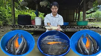 Simple Farm Life Alone : Farm Fresh Fish to Market | Grilled Fish & Traditional Sour Soup Recipe