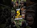 Crazy Facts about Chimpanzee #shorts #animalfacts