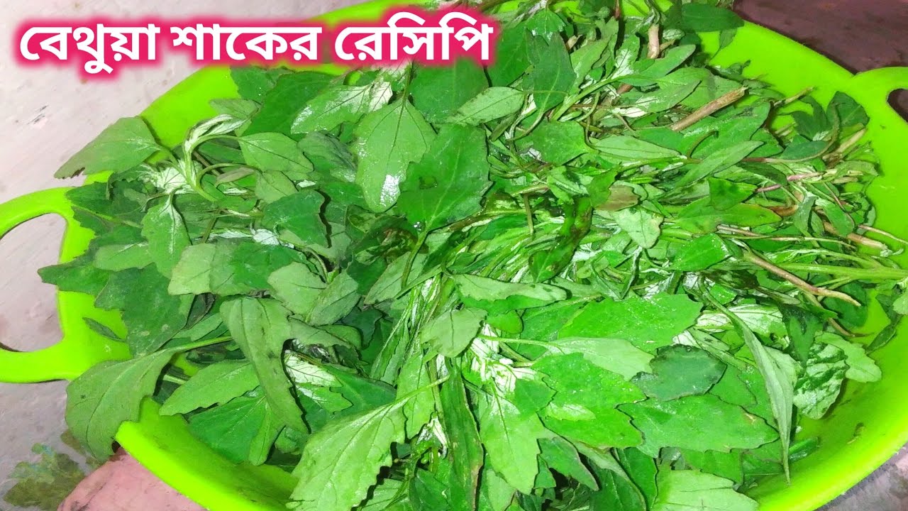 বেথুয়া শাক এইভাবে বানালে সবাই বারবার খেতে চাইবে //Bethua shaak Recipe// Beto Recipe/BA food kitchen