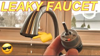 HOW TO FIX A LEAKY DELTA FAUCET  Replacing a Valve Cartridge on a Single Handle Delta Faucet. Easy!