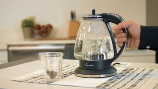 capresso h20 plus kettle