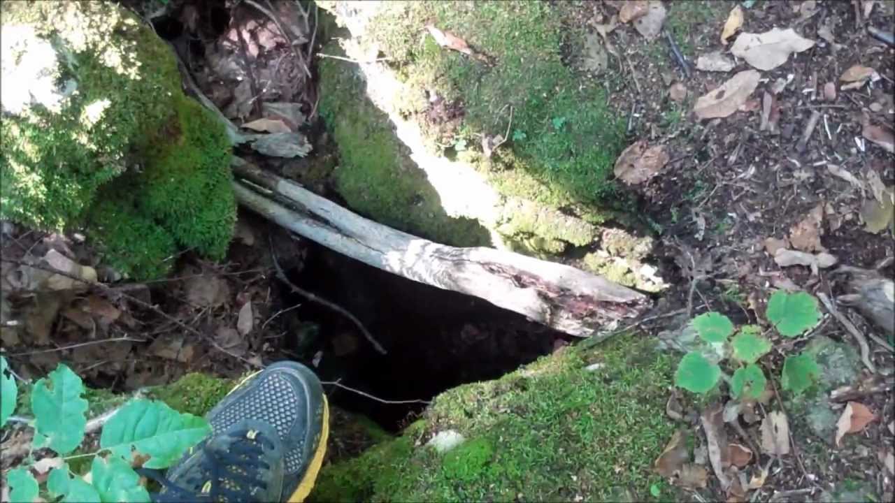 Bruce Trail - Bayview Escarpment Provincial Park - Sept. 17, 2012 - YouTube