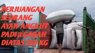 Perjuangan  Angkut Padi@Gabah Diatas 120 kg