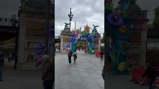 #belgien #antwerpen #travel #magicocean #Belgium #shorts #бельгия #Belgianchocolate