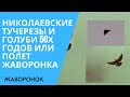 Николаевские тучерезы и голуби 50х годов или полет жаворонка