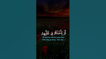 #اكتب شئ تؤجر عليه #قرآن كريم 