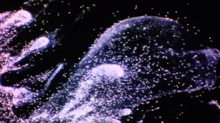Bugseed - Smokestack