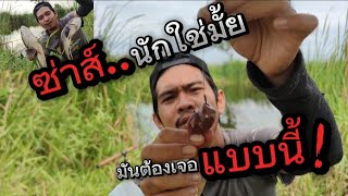 ❗Make an appointment to wash your eyes | Fishing on the ground (live bait), fishing for snakehead