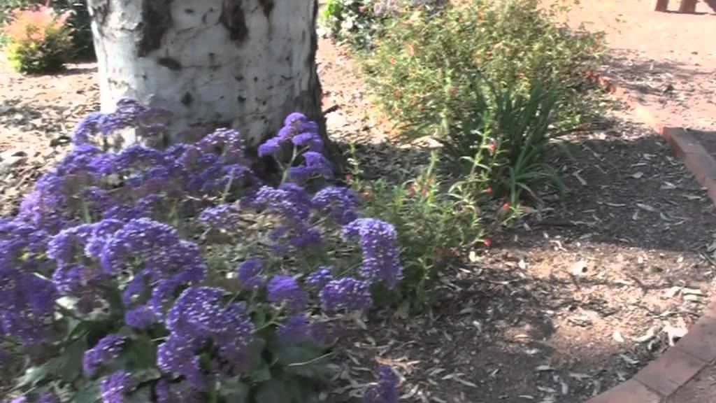 Impressions Of Alta Vista Gardens Revisited Youtube
