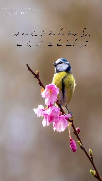 meaningful-quotes-in-urdu-shorts-quotes-in-urdu-viral-quotes