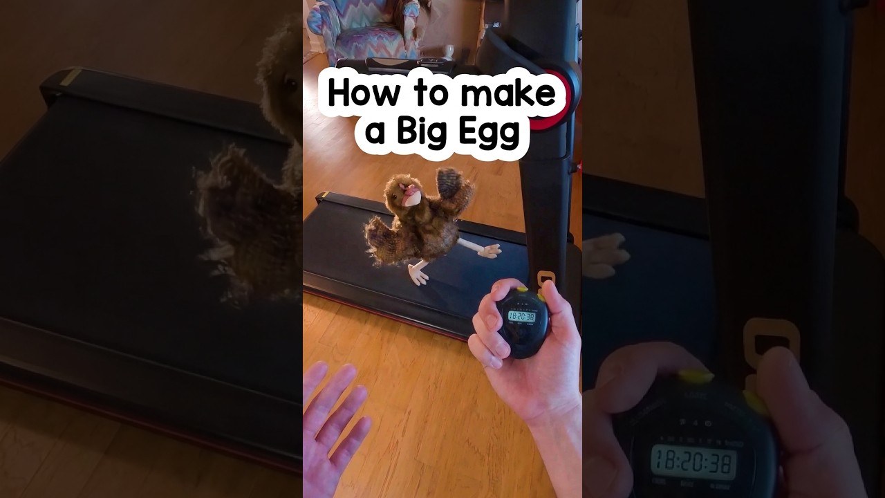 How to make a Big Egg #funny