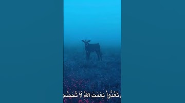 اكتب شيء تؤجر عليه 💛. #القرآن #قران_كريم #اكتب_شي_تؤجر_عليه #أذكار