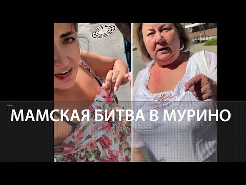 Битва на детской площадке | В Мурино две дамы подрались за право парковать коляску на газоне