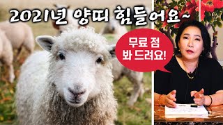 2021년 양띠 운세! 힘들 거예요~ 그래서 무료 점 봐 드릴게요~ 문자 주세요! [일산점집 예령신당]