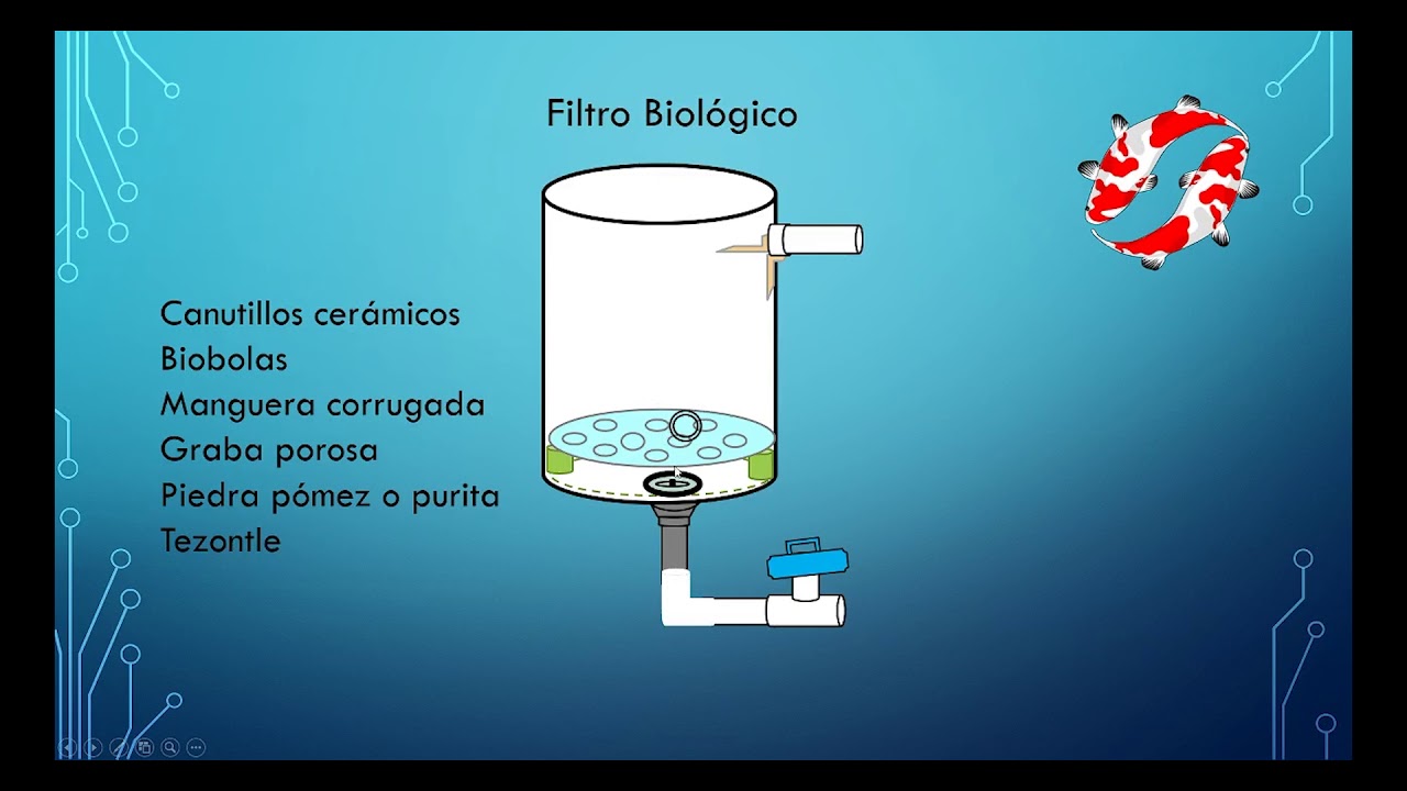 Sandalias empeorar Hacer las tareas domésticas FILTRO BIOLOGICO CASERO PARA ACUARIO O ESTANQUE DE PECES - YouTube