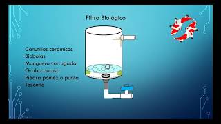 FILTRO BIOLOGICO CASERO PARA ACUARIO O ESTANQUE DE PECES