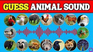 Guess The Animal By Sound | 32 Animal Sound Quiz Challenge