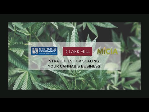 Strategies for Scaling Your Cannabis Business