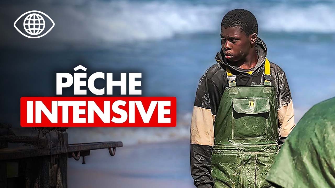 MAURITANIE : Le SCANDALE de la pêche industrielle étrangère - Reportage Complet - HK