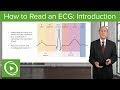 How to Read an Electrocardiogram (ECG): Introduction – Cardiology | Lecturio