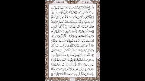 القرآن الكريم بصوت الشيخ سعد الغامدى صفحات صفحة رقم ( 11)