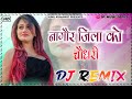 Tejal Ne Parnije Beti Pemal Jatani Dj Remix | Nagour Jila Ko Choudhary | New Tejaji Dj Remix Song