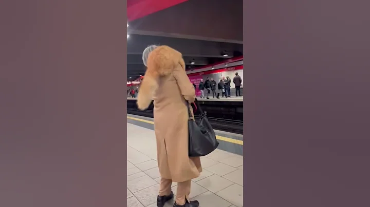 Video 6343061: cutecat love pets animals, pets cutecat funny animals, cat