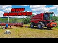 Отцепляем жатку,прицепляем телегу и комбайн уежает не на долго!Case IH 5140