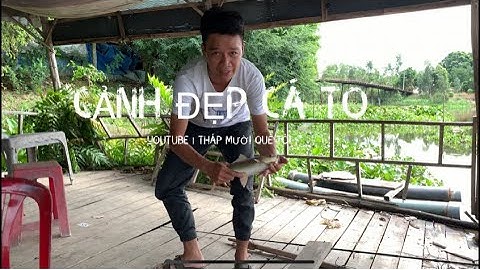 Tập 20 - Điểm Câu Đẹp Vài Nhiều Loại Cá Ở Tháp Mười, Đồng Tháp