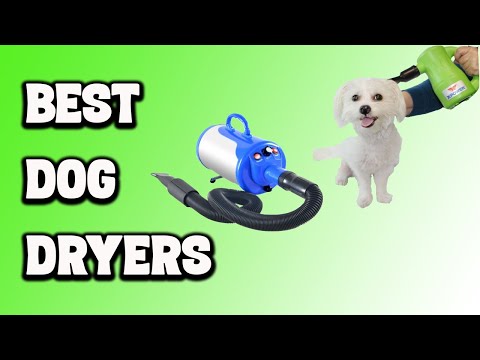 chris christensen dog dryer