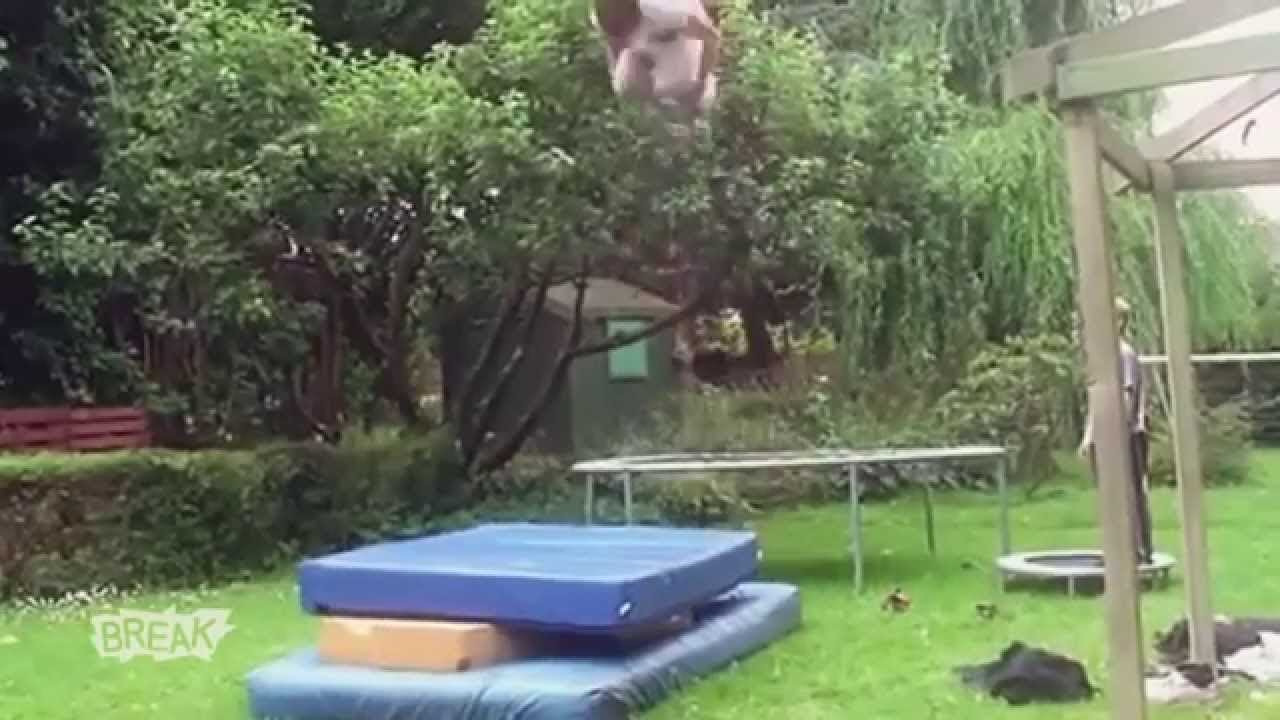 Trampoline Fails 2015