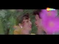 Hum Teri Mohabbat Mein | Phool Aur Angaar (1993) | Mithun Chakraborty | Shantipriya | Kumar Sanu Mp3 Song