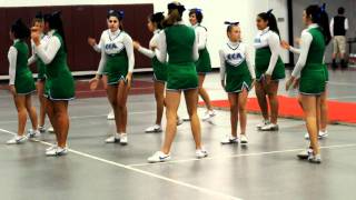 DSC_0043.AVI