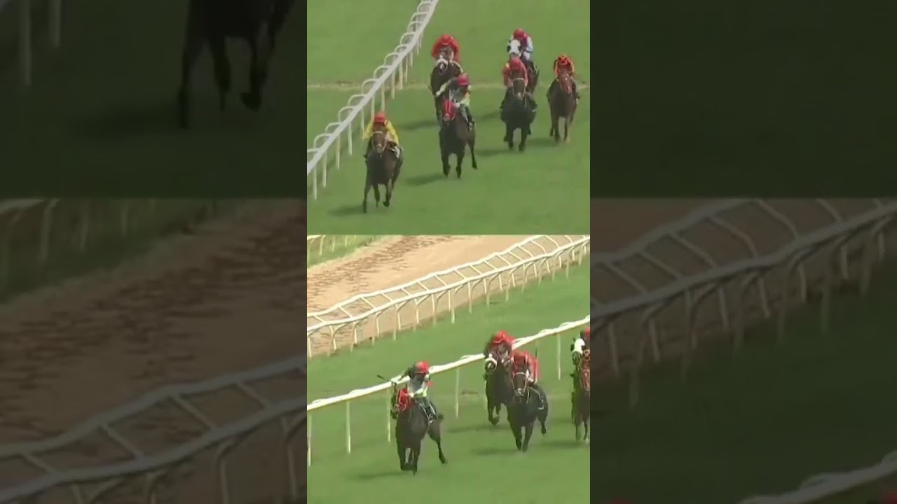 Pune Race No 2The Bushtops Plate Wins ESPERANZA Subscribe Horseracing