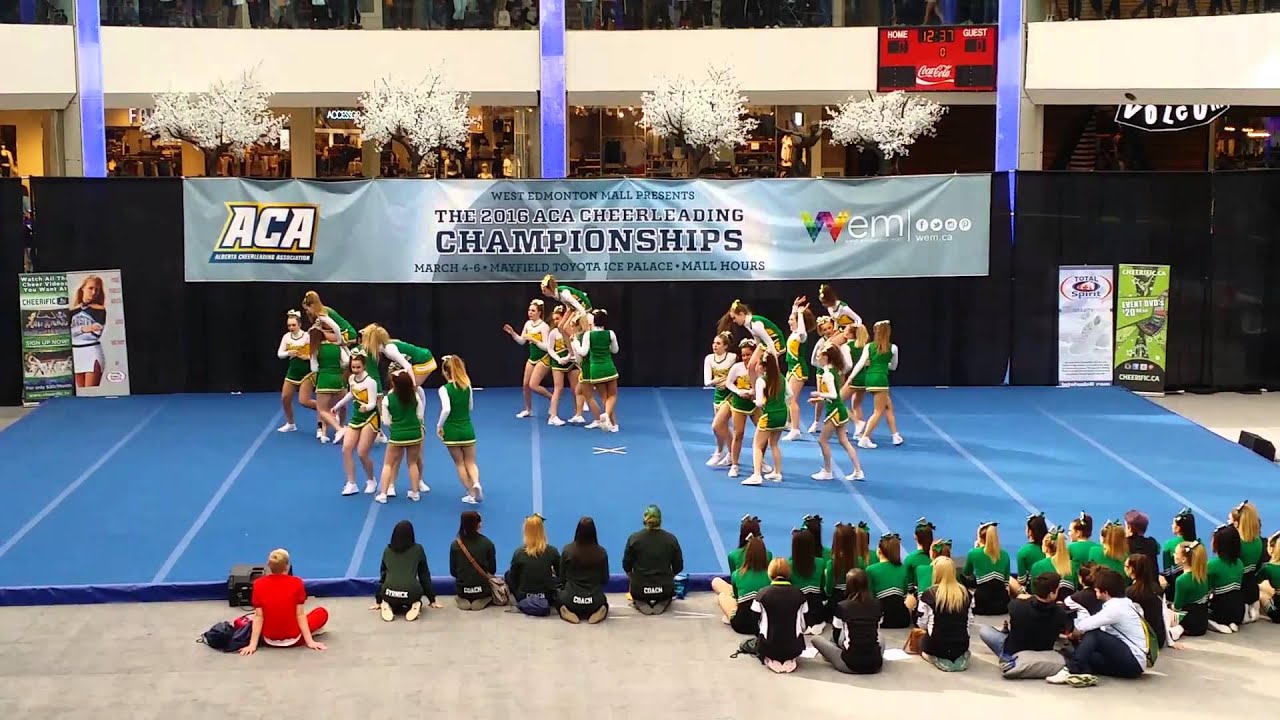 Edmonton Cheer Competition 2016 YouTube
