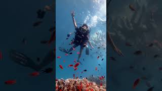 Kizildenizde Dalmak ... Isır Izıldeniz