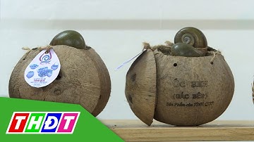 Ốc gác bếp Tình quê (TP. Cao Lãnh) | Khởi nghiệp - 21/9/2022 | THDT