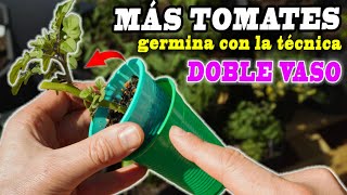 GERMINACIÓN EXPANDIDA: Domina la Técnica del Doble Vaso para un Crecimiento Acelerado