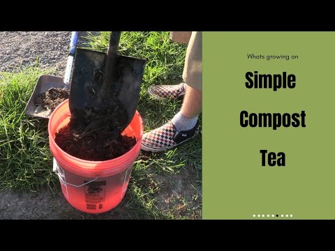 Simple Compost Tea - No equipment needed just a bucket - YouTube