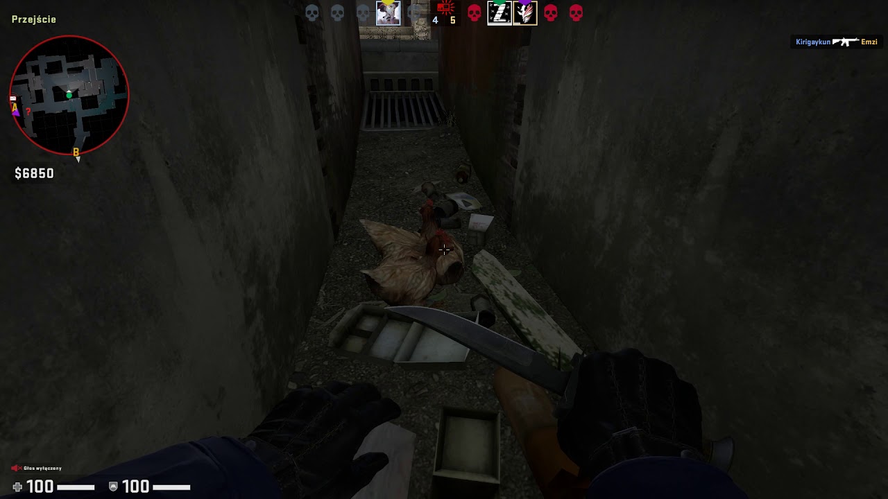 Crazy Chicken CS GO - YouTube