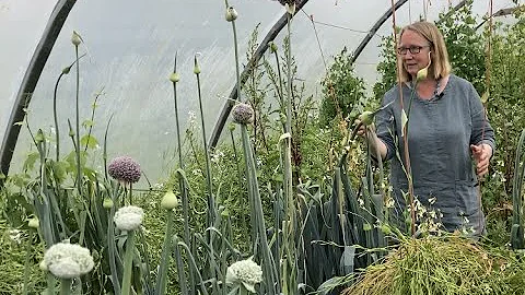 Ask the Farmer Q&A with Madeline McKeever