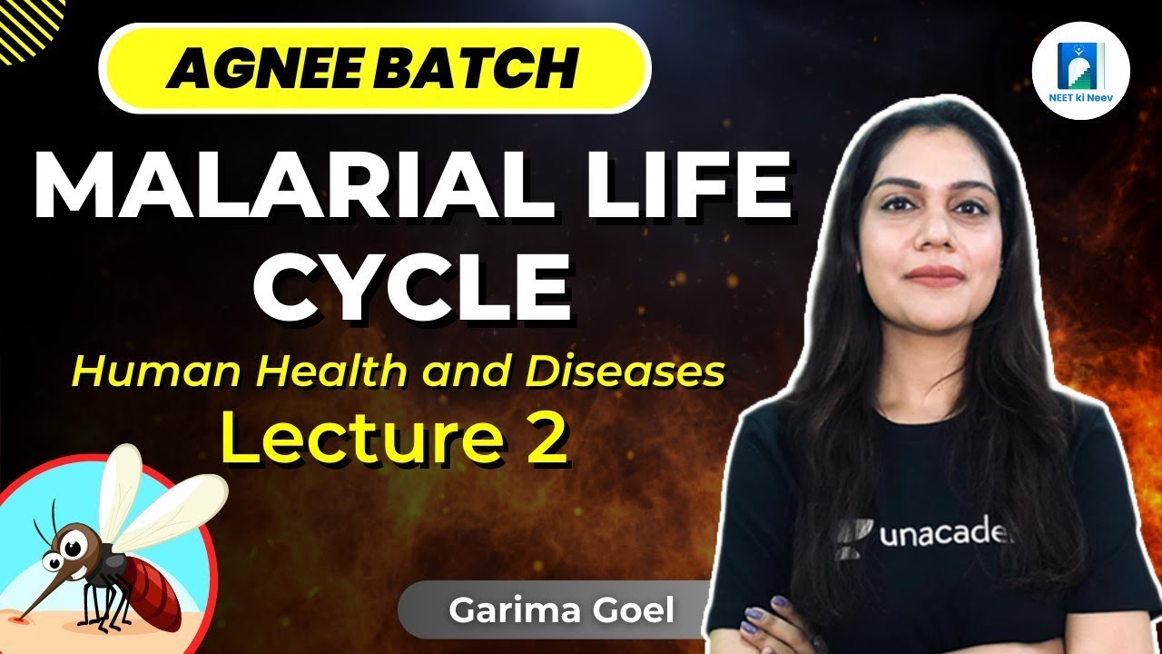 human-health-and-disease-malarial-life-cycle-l2-agnee-batch