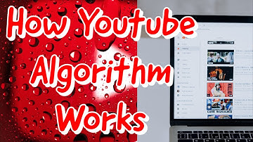 How the YOUTUBE Algorithm Works 2023?